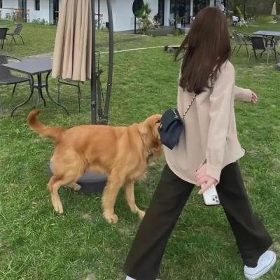 时间囚徒