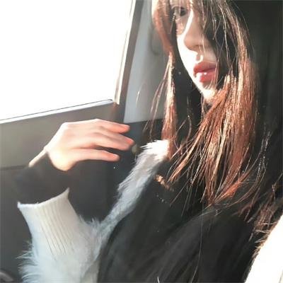 露营者日记